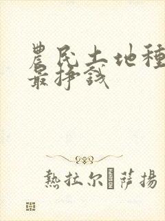 农民土地种什么最挣钱
