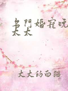 名门婚宠晚安赫太太