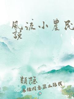风流小农民的小说