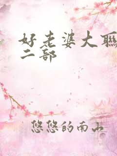 好老婆大联盟第二部