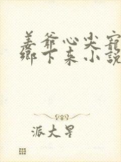 姜爷心尖宠她从乡下来小说版