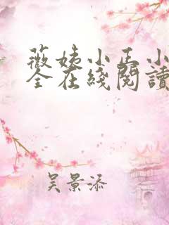 薇姨小正小说大全在线阅读