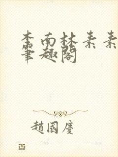 李南林素素小说笔趣阁