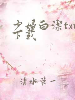 少妇白洁txt下载
