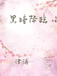 黑暗降临 小说