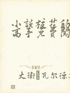 小说校花的贴身高手免费阅读原文