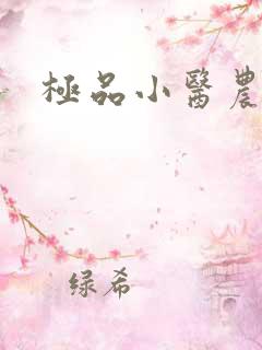 极品小医农小说