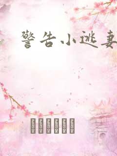 警告小逃妻