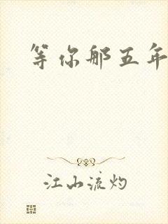 等你那五年