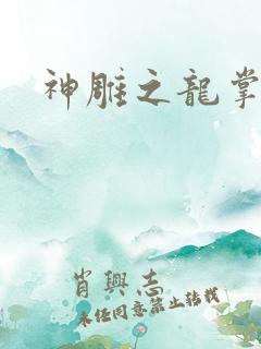 神雕之龙掌门