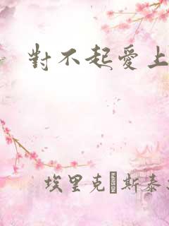 对不起爱上你