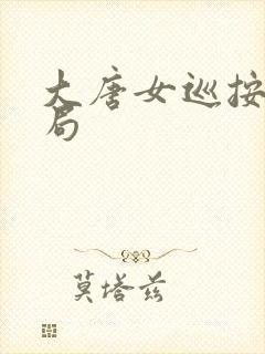 大唐女巡按大结局