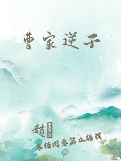 曹家逆子