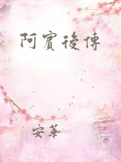 阿宾后传