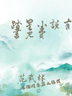 踏星小说有声听书免费