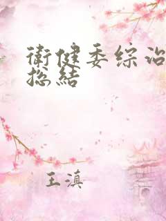 卫健委综治工作总结