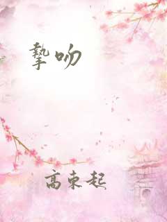 挚吻