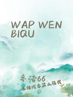 WAP WENBIQU