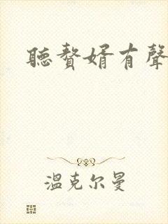 听赘婿有声小说