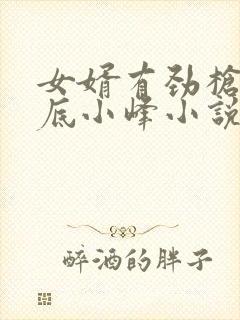 女婿有劲枪枪到底小峰小说