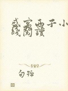盛宴西子小说在线阅读