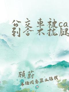 公交车被cao到合不拢腿最新章节