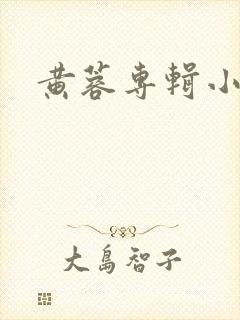 黄蓉专辑小说
