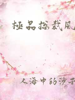 极品总裁风流录