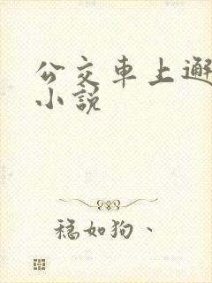 公交车上邂逅的小说