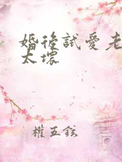 婚后试爱老公别太坏
