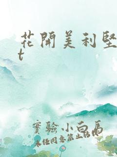 花开美利坚txt
