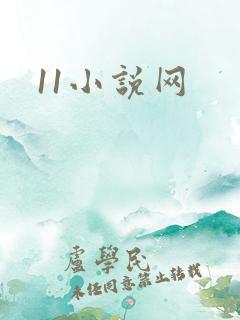 11小说网