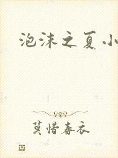 泡沫之夏小说1