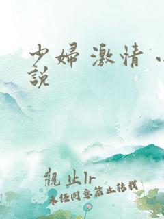 少妇 激情 小说