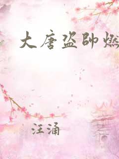 大唐盗帅燃文