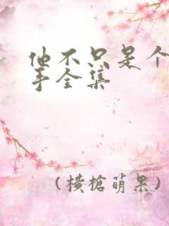 他不只是个狙击手全集