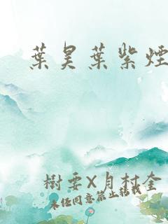 叶昊叶紫烟