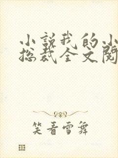 小说我的小姨是总裁全文阅读