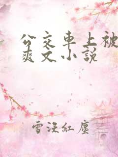 公交车上被强上爽文小说