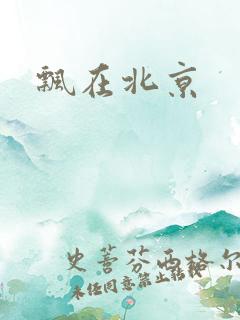 飘在北京