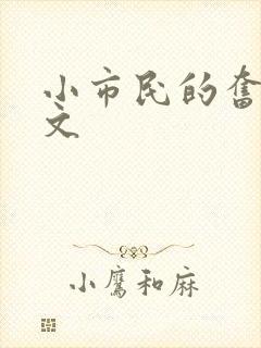 小市民的奋斗燃文