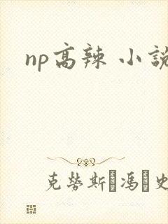 np高辣 小说