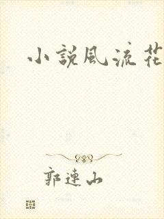 小说风流花少