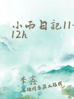 小雨日记11-12h