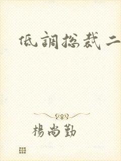 低调总裁二手妻