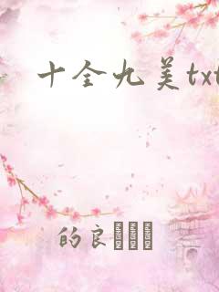十全九美txt
