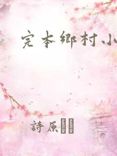 完本乡村小傻医