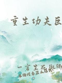 重生功夫巨星