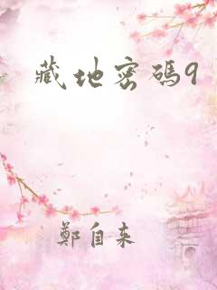 藏地密码9