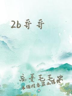 2b哥哥